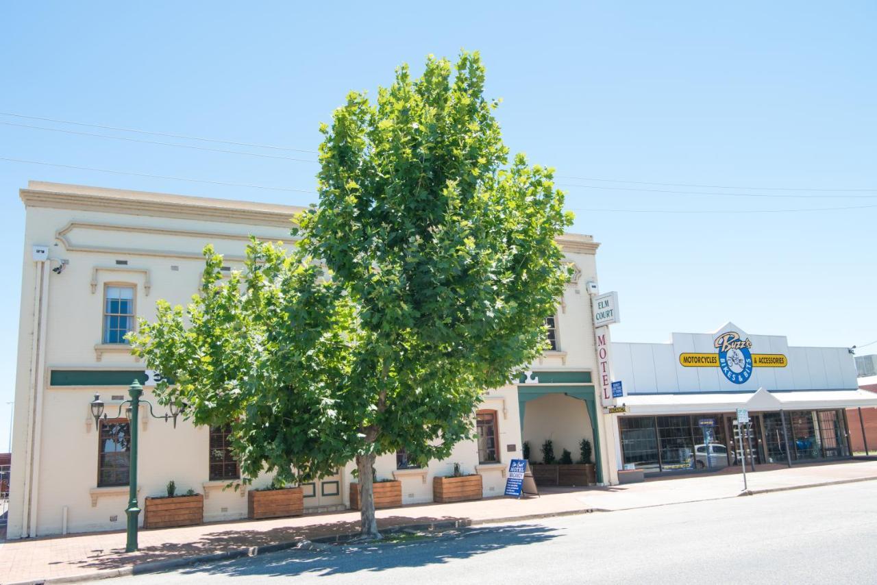 Elm Court Motel Albury Exterior foto