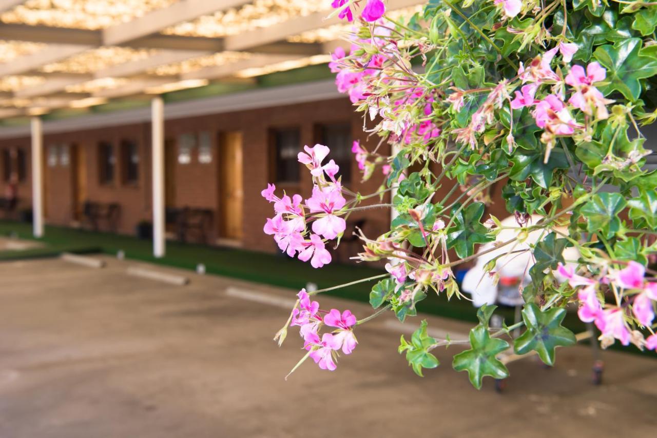Elm Court Motel Albury Exterior foto